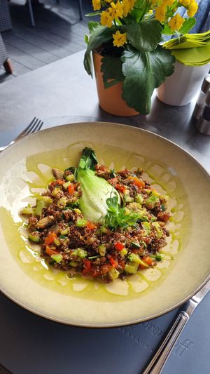 quinoa and bok choy salad at Majorenhoff in Jurmala