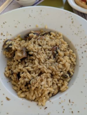  at Bakaliko in Crete