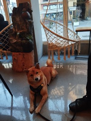 Interior :) at Boho in Lodz