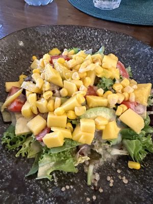 the vegan salad  at Tactic Beach in Castelldefels