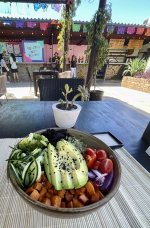 Create your own bowl (large)  at Shakti Bowl in Todos Santos
