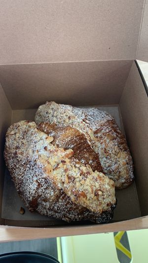   at Gâto in Winnipeg