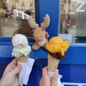 Japanese cheese cake and basil white chocolate, mango and dark chocolate. at Zmrzlinářství Campione Gelato in Plzen