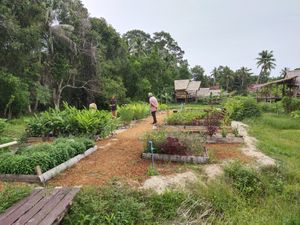 The garden at Vithee J in Koh Phangan