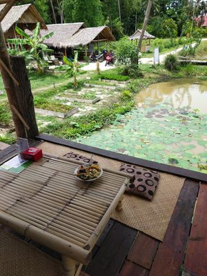 A plate full of goodness at Vithee J in Koh Phangan