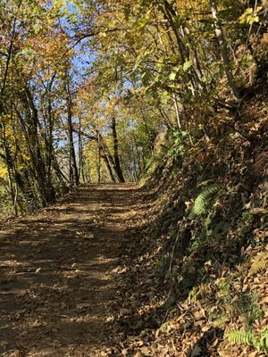 The pedestrian road to go there  at Koivu in Valchiusa