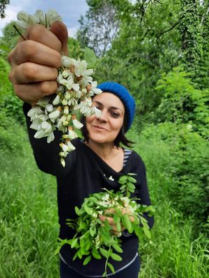 eli  at Koivu in Valchiusa