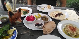  at Café Tropical in Mannheim