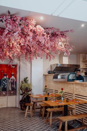 Dinner under a japanese sakura tree? at Niiko Sushi x Vegan in Leipzig