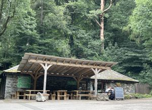 The Old Sawmill Tearoom, Mirehouse  at The Old Sawmill Tearoom in Keswick