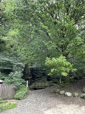 Entrance to Dodd Wood at The Old Sawmill Tearoom, Mirehouse  at The Old Sawmill Tearoom in Keswick