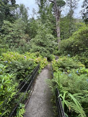Mirehouse Gardens  at The Old Sawmill Tearoom in Keswick