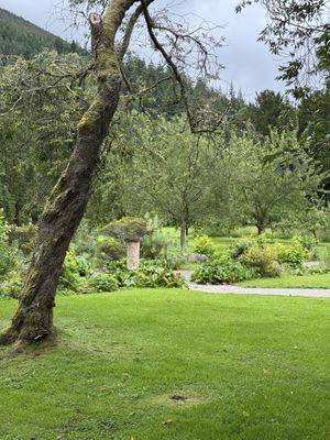 Mirehouse Gardens  at The Old Sawmill Tearoom in Keswick