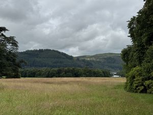 Mirehouse Gardens  at The Old Sawmill Tearoom in Keswick