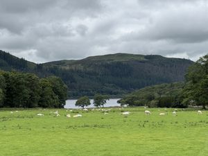 Mirehouse Gardens  at The Old Sawmill Tearoom in Keswick