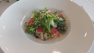 Risotto at La Maddalena in Wroclaw