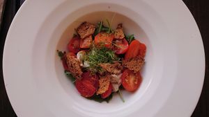 Cashew mozzarella with tomatoes at Place to V in Lenzen Elbe