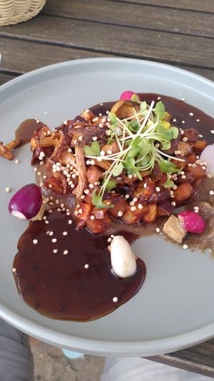  at Place to V in Lenzen Elbe