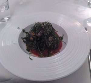  at Place to V in Lenzen Elbe