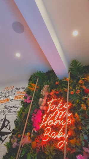 Pretty Interior! at Loop and Scoop in Glasgow