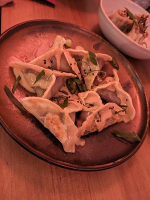 Pan fried mushroom dumplings at Dr. Zhang Dumpling Bar in Barcelona