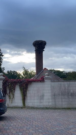 Stork nest  at ahead Burghotel in Lenzen Elbe