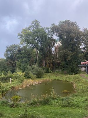 View from room  at ahead Burghotel in Lenzen Elbe