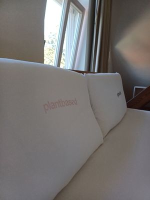  at ahead Burghotel in Lenzen Elbe