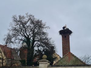  at ahead Burghotel in Lenzen Elbe