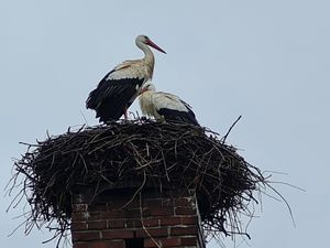  at ahead Burghotel in Lenzen Elbe