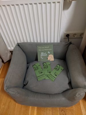 Auch Hunde sind willkommen   at ahead Burghotel in Lenzen Elbe