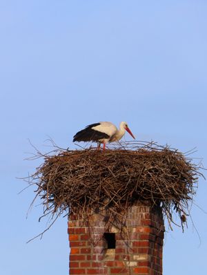  at ahead Burghotel in Lenzen Elbe