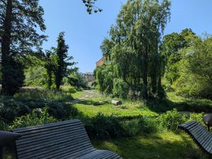 Tolle Natur in der Umgebung at ahead Burghotel in Lenzen Elbe