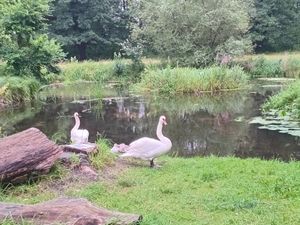  at ahead Burghotel in Lenzen Elbe