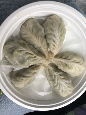 Look so pretty vegan dumpling  at Nan Xiang Xiao Long Bao in Flushing