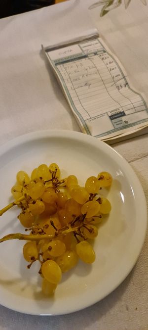 Free 🍇 at To Stachi in Crete