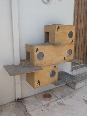 Cat boxes outside for the local residents at To Stachi in Crete