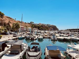 View   at My True Burger and Vegan in Mallorca
