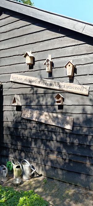  at De Bospub in Dwingeloo