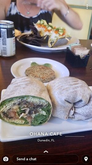 Quinoa & Black Bean Burrito, Very Vegan Tacos & a side order of the vegan burger patty  at Ohana Cafe in Ozona