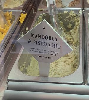 Vegan ice cream   at MANU in Geneva