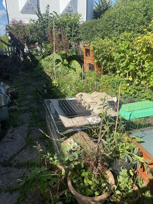   at Camilles Garden & Café in Vaxholm