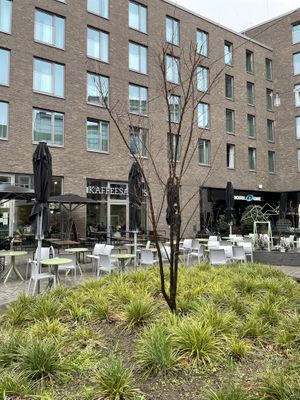   at Kaffeesaurus in Bonn