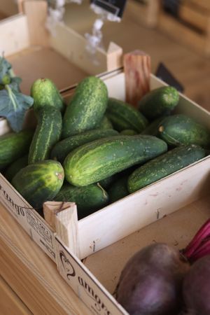 Fresh Cucumbers at Fava Mercearia Café in Lagos