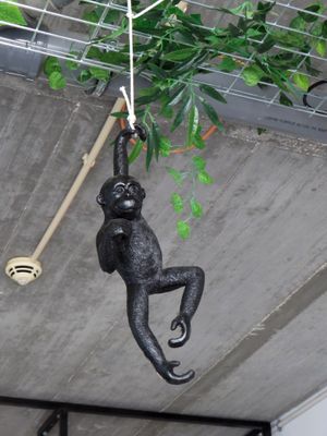 7 at Fava Mercearia Café in Lagos