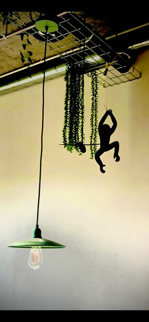 Monkey business  at Fava Mercearia Café in Lagos