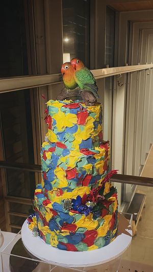   at Vegana Bakes in Bristol