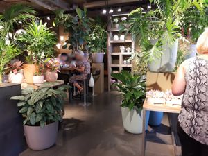 Interior at Hiltl Pflanzbar in Zurich