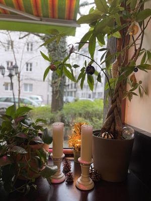   at Max Pett in Munich