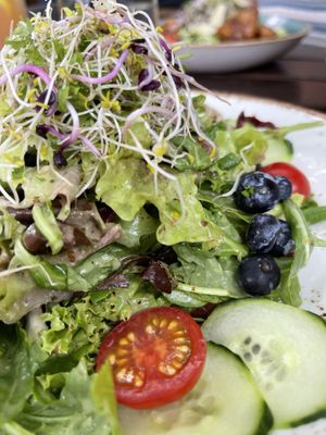 Seasonal salad  at Max Pett in Munich